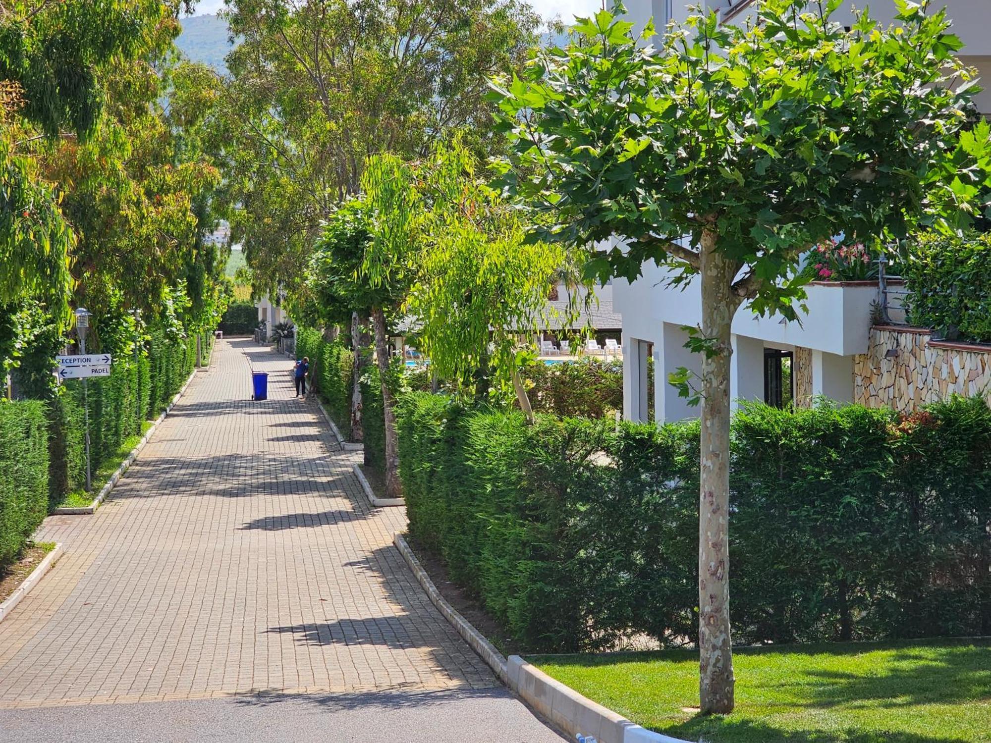 Suite Hotel Dominicus Grisolia Esterno foto